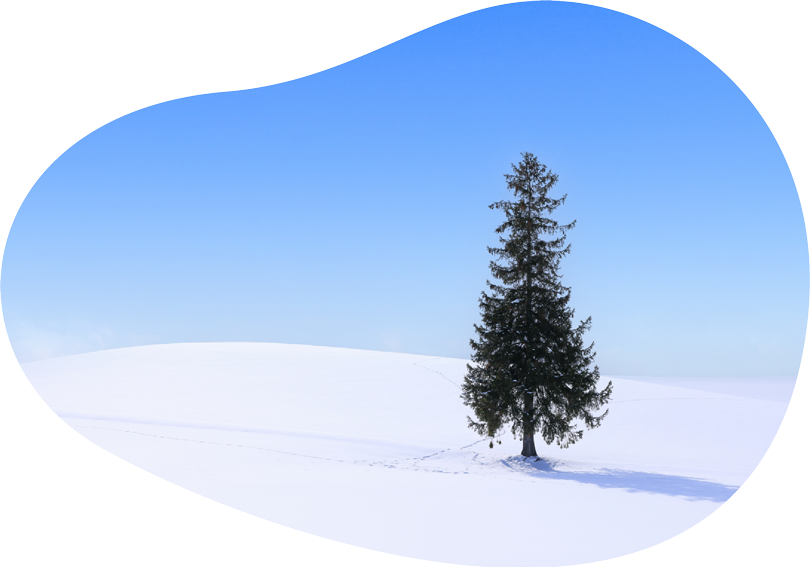 雪原の画像